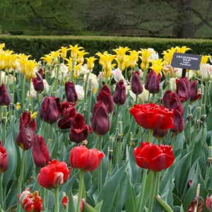 IMG_2918.webp