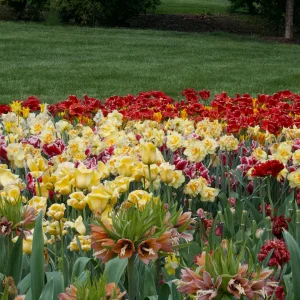 IMG_2921.webp