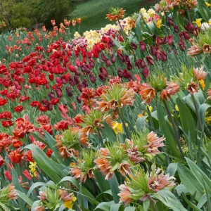 IMG_2922.webp
