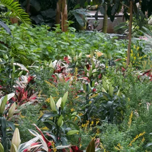 IMG_2975.webp