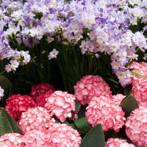 IMG_3000.webp