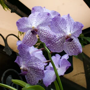 IMG_3042.webp