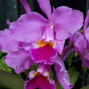 IMG_3043.webp