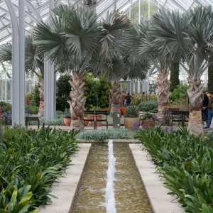 IMG_3052.webp