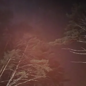Media '20250621_221342.webp' in category 'Camping'