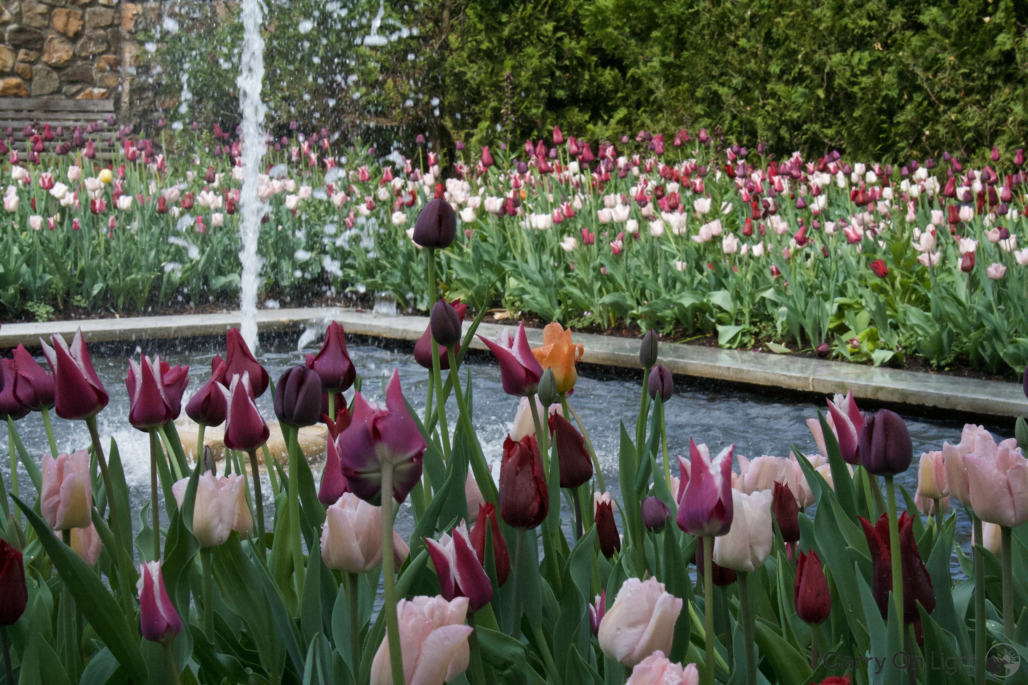 IMG_2903.webp