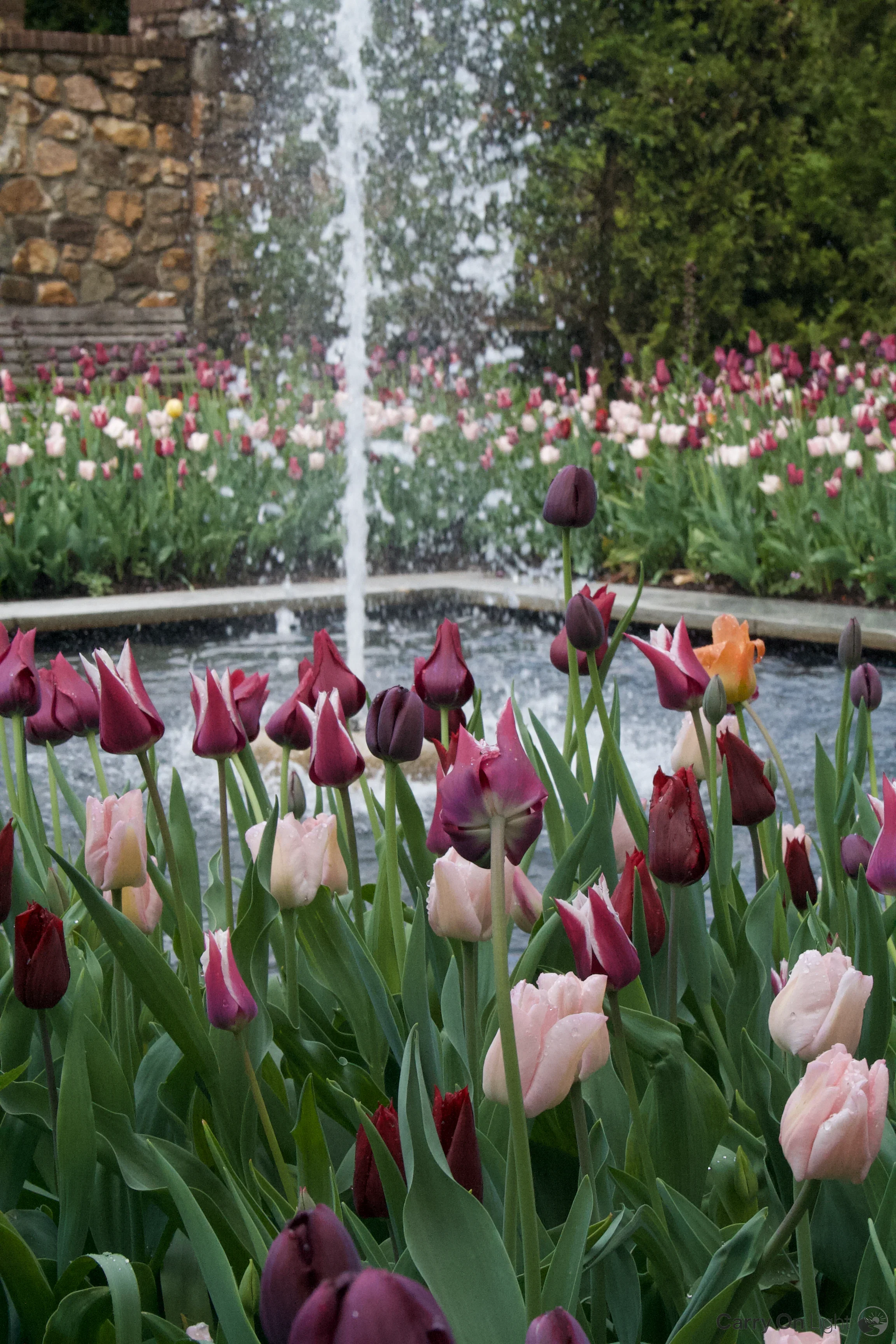 IMG_2904.webp