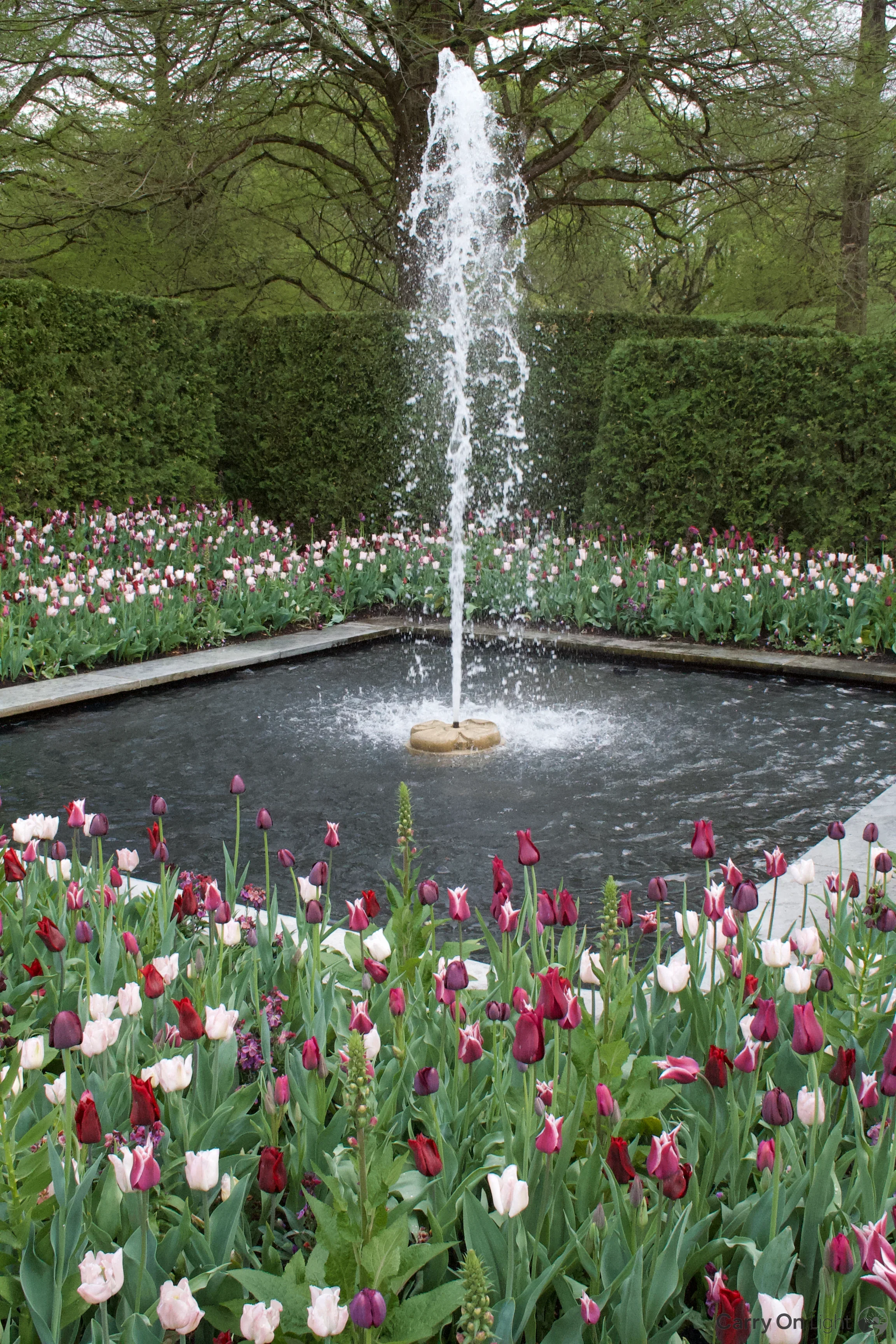 IMG_2905.webp