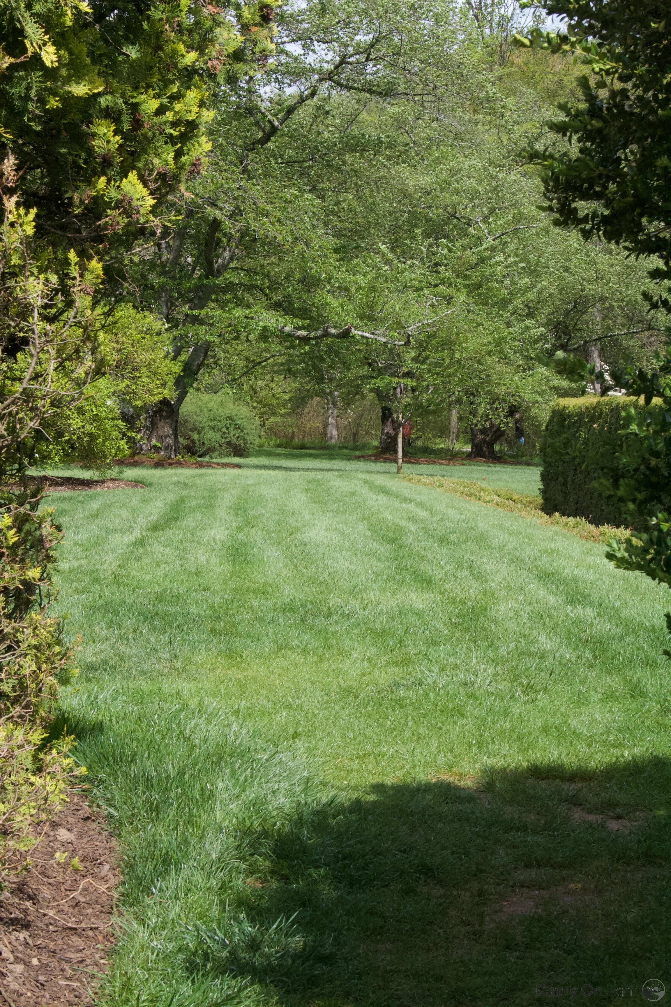 IMG_2911.webp