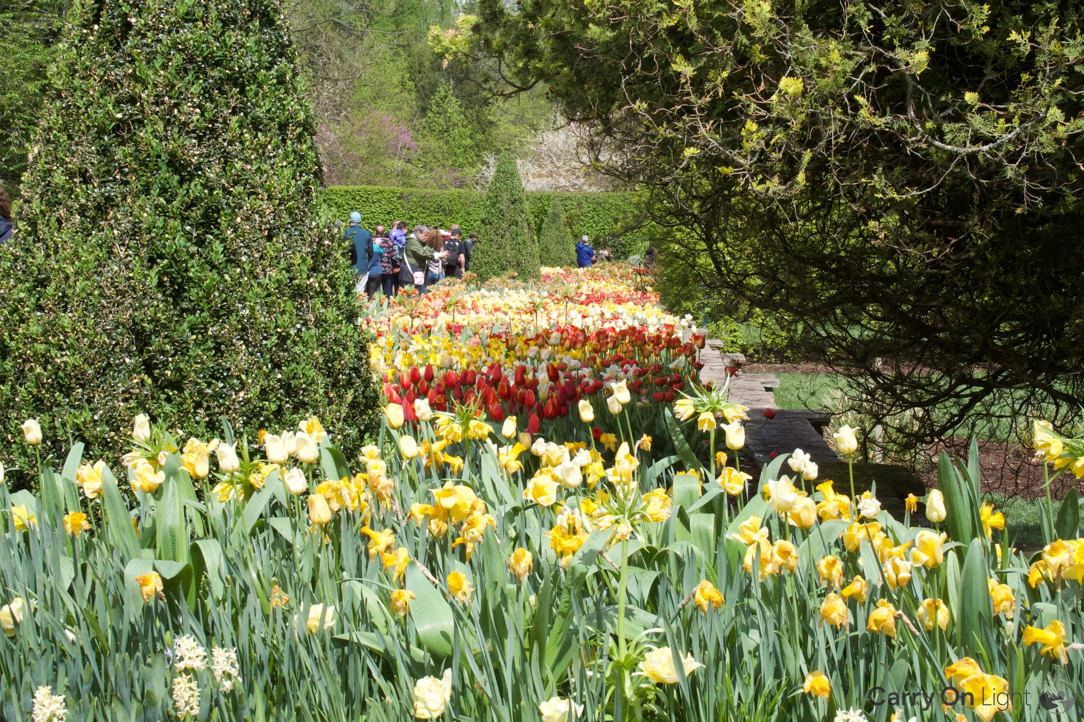 IMG_2913.webp