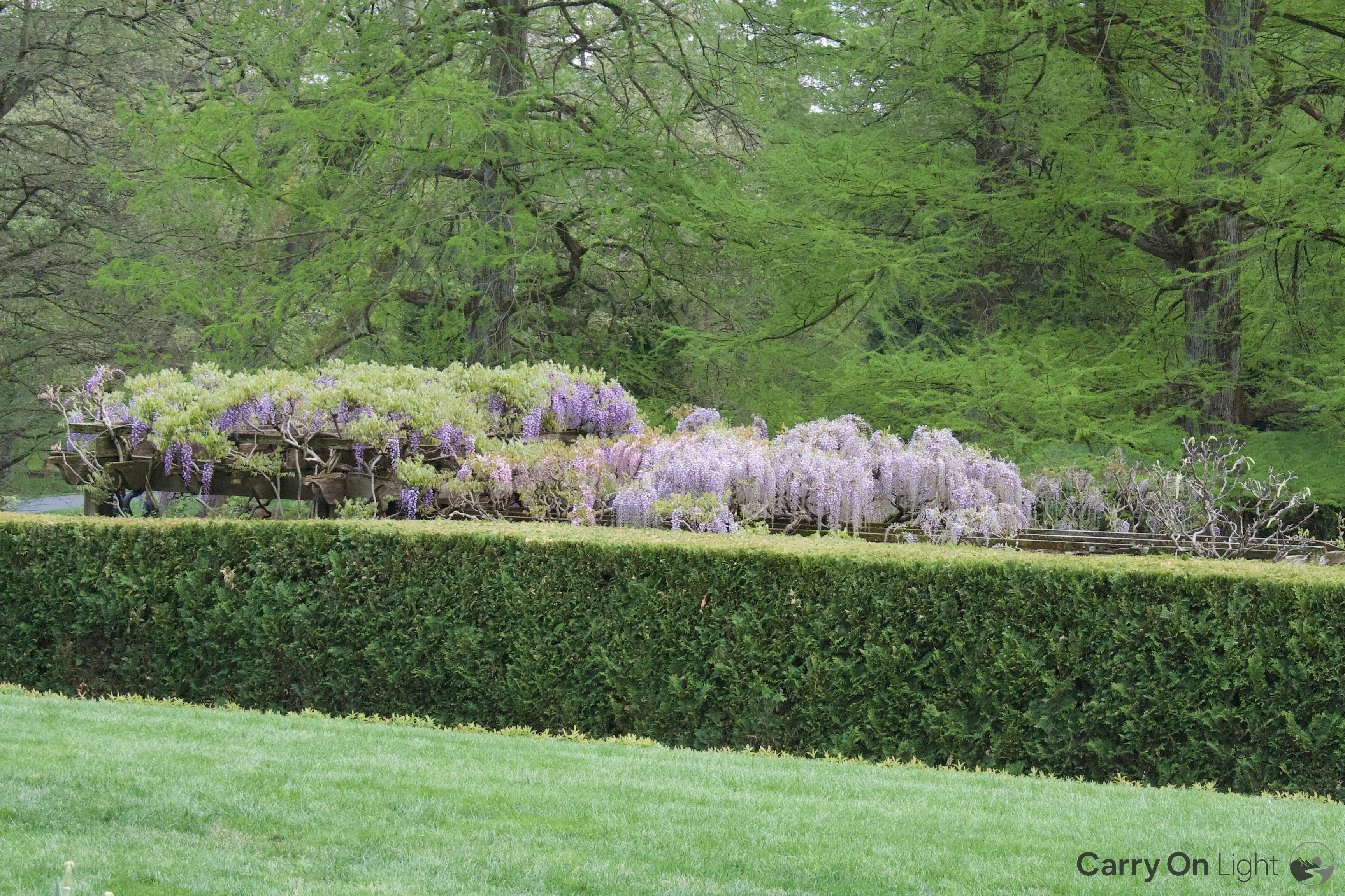 IMG_2920.webp
