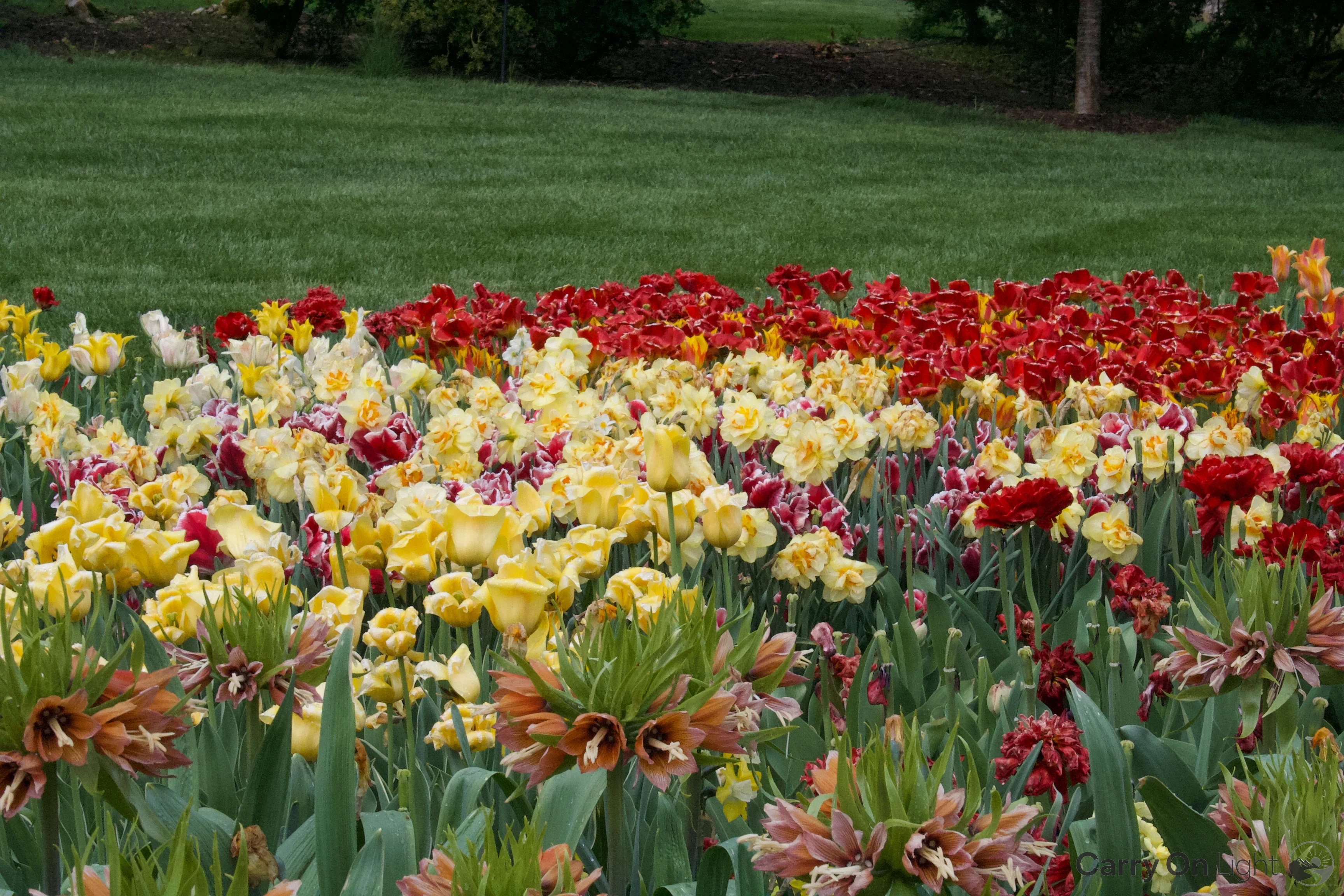 IMG_2921.webp