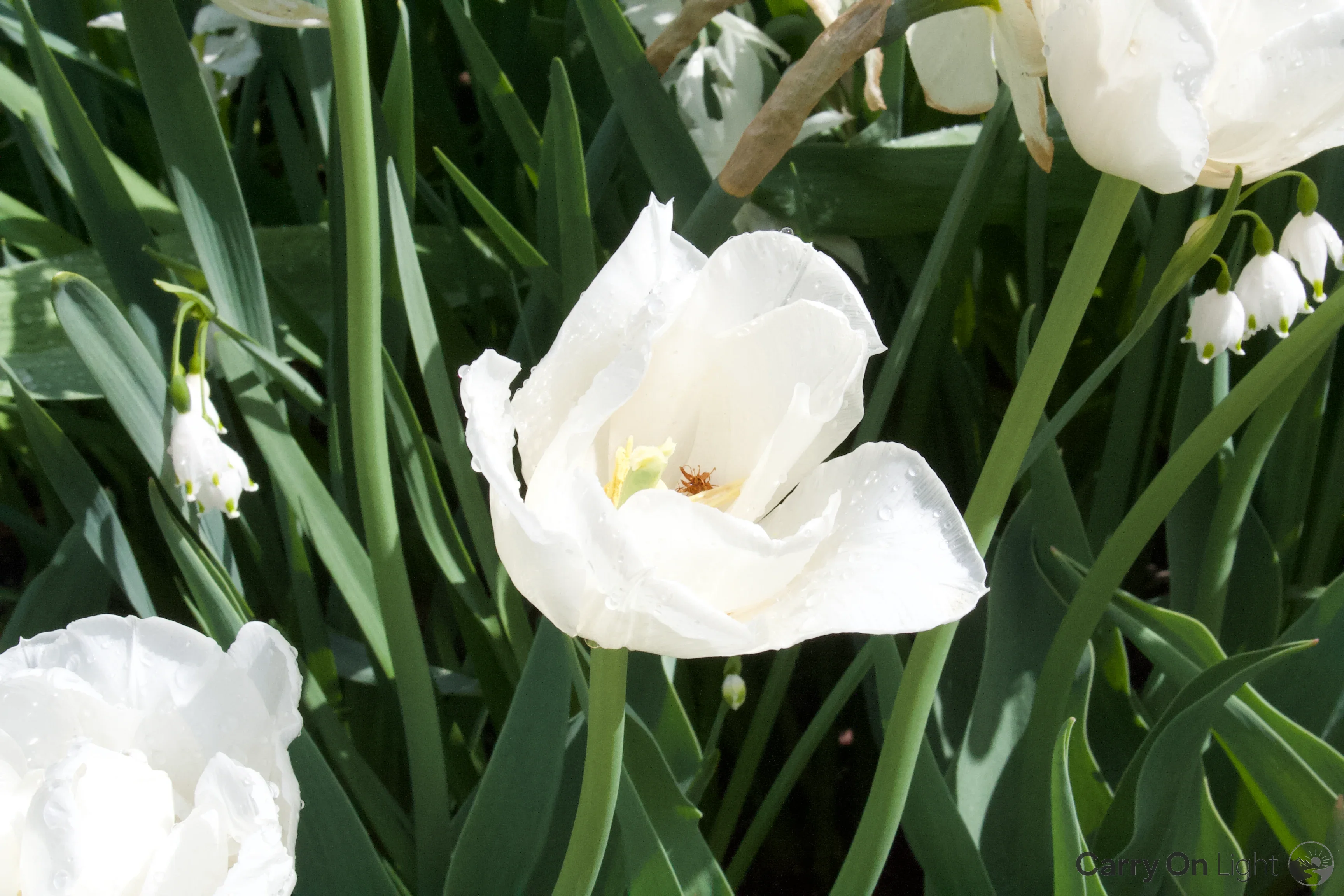 IMG_2928.webp