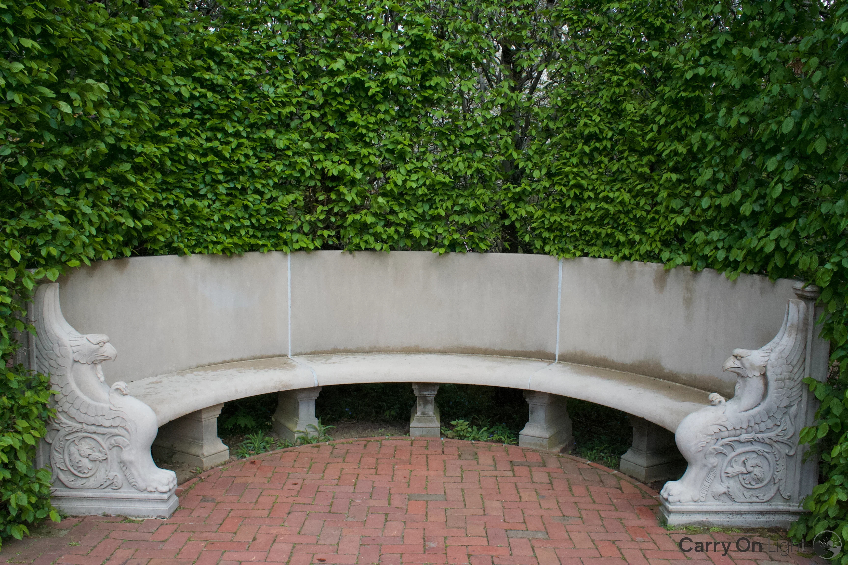 IMG_2931.webp