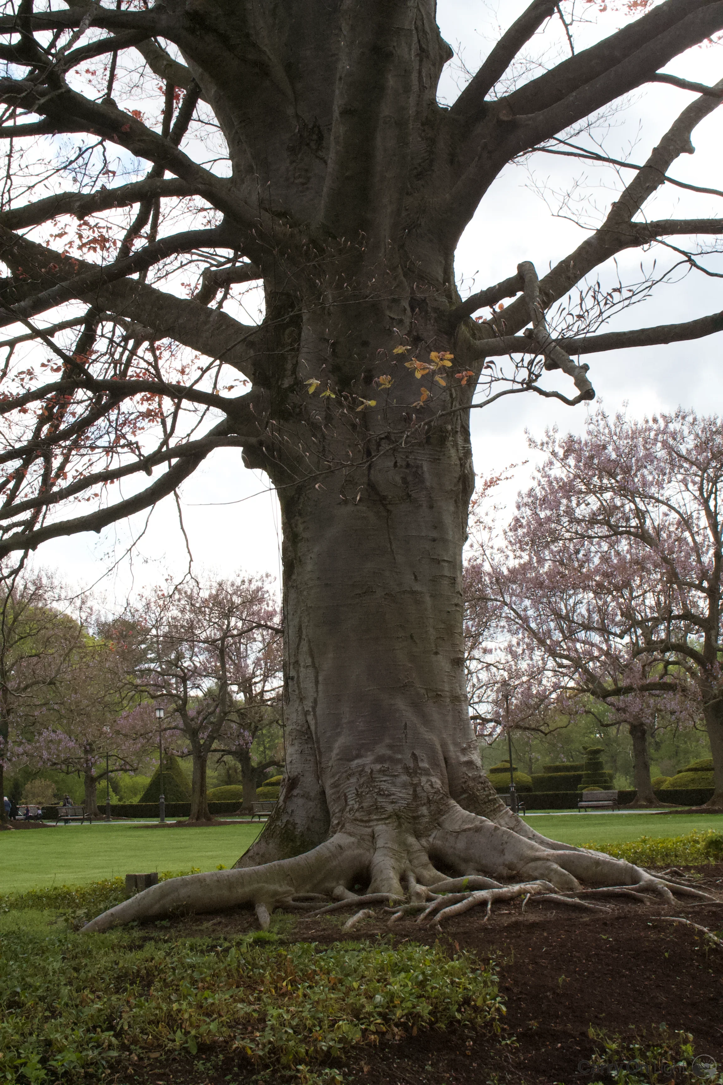 IMG_2961.webp