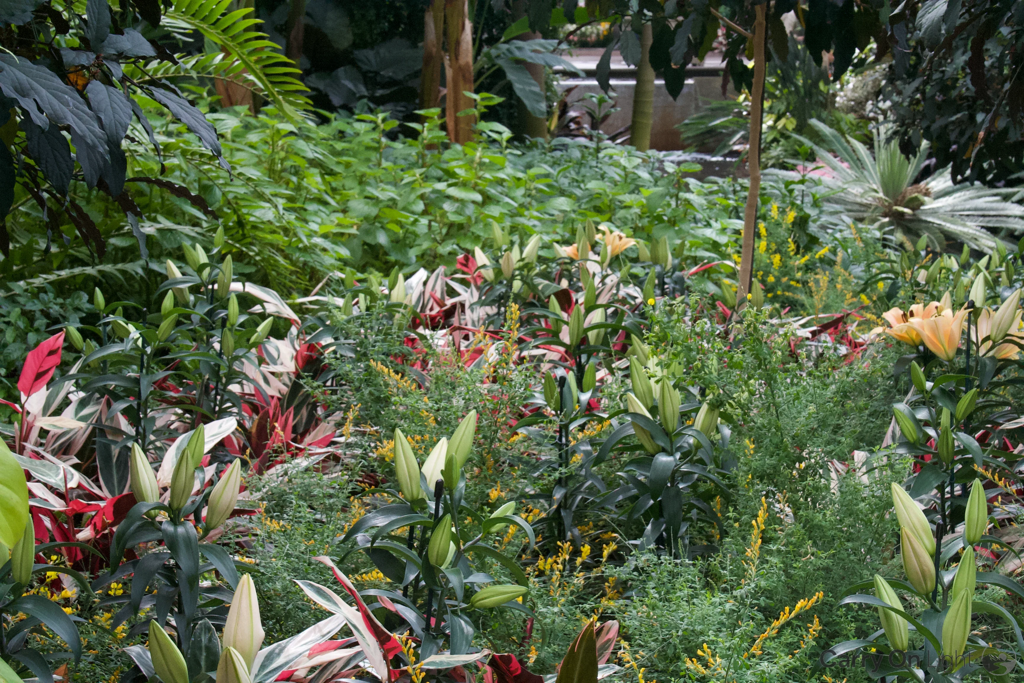 IMG_2975.webp