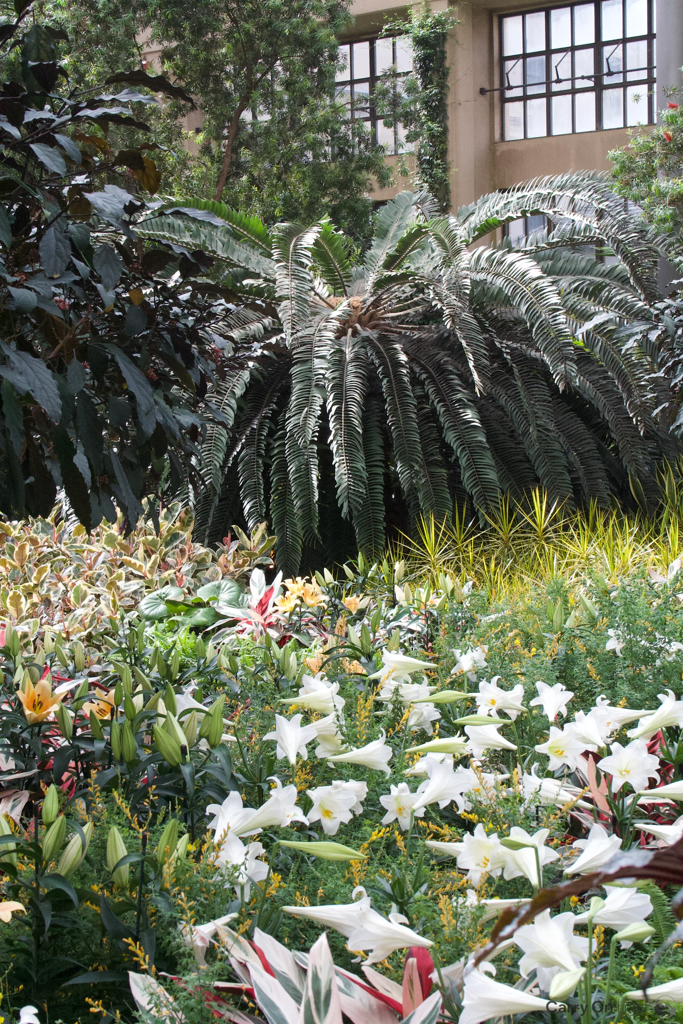 IMG_2977.webp