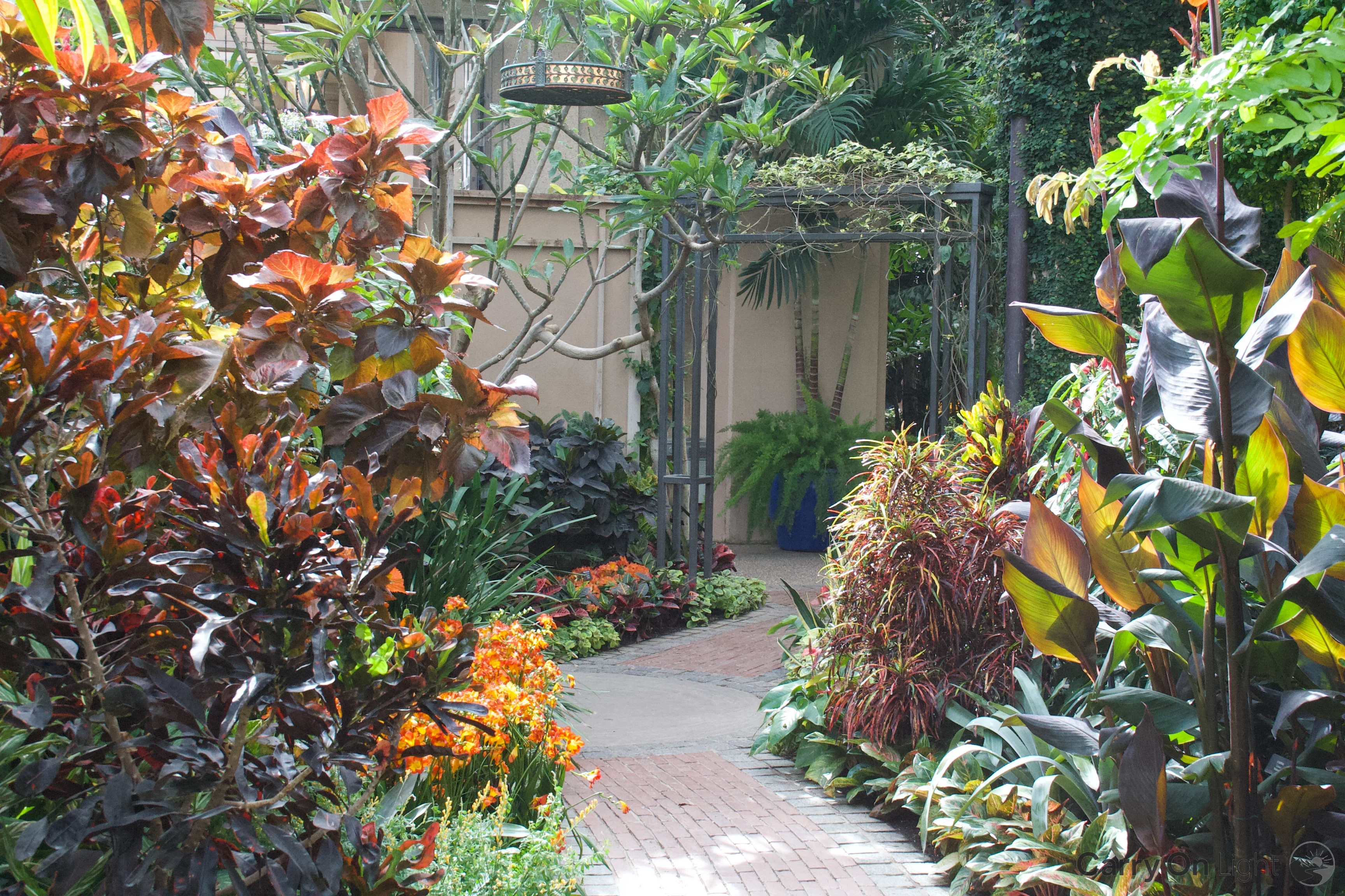 IMG_2984.webp