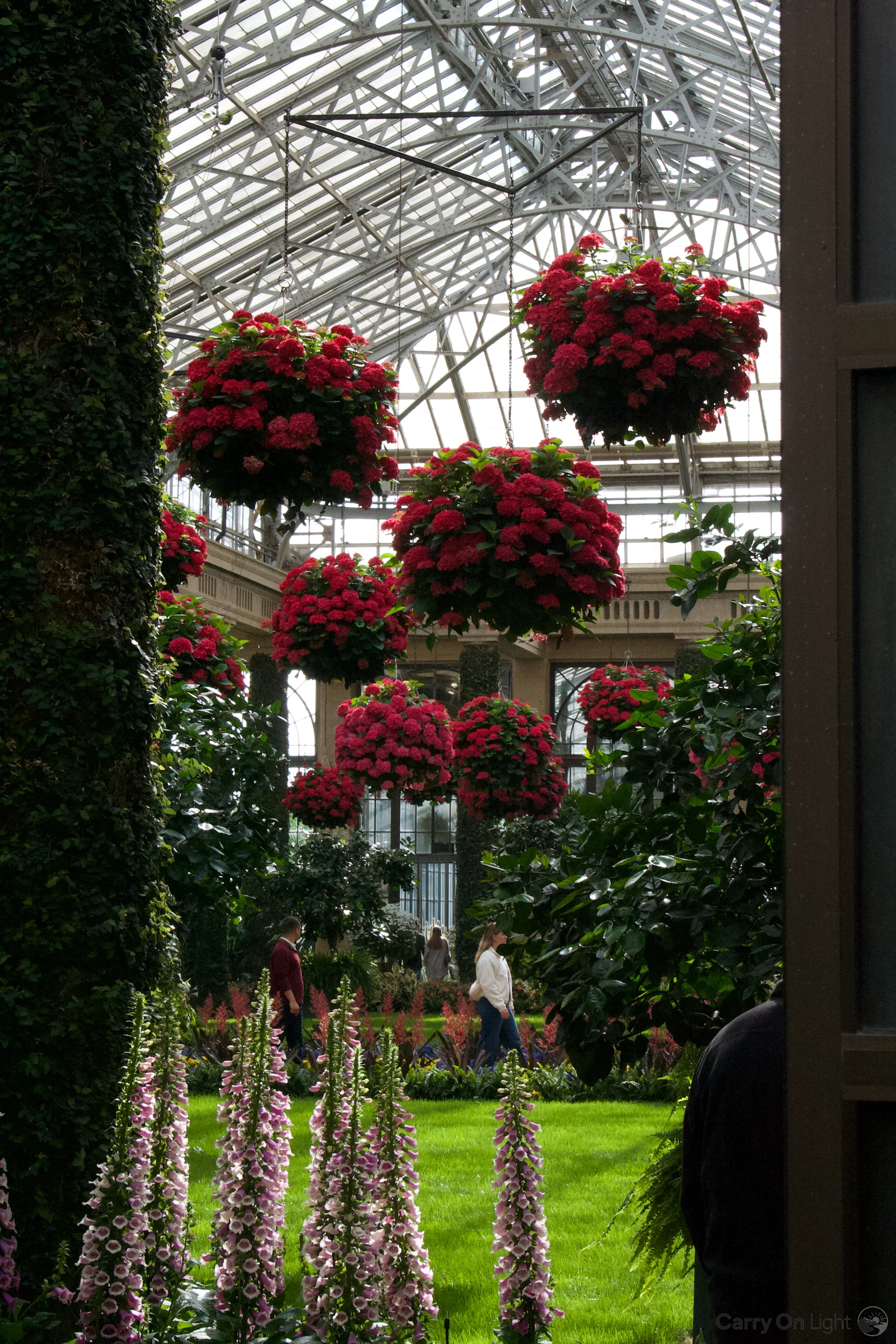 IMG_2992.webp