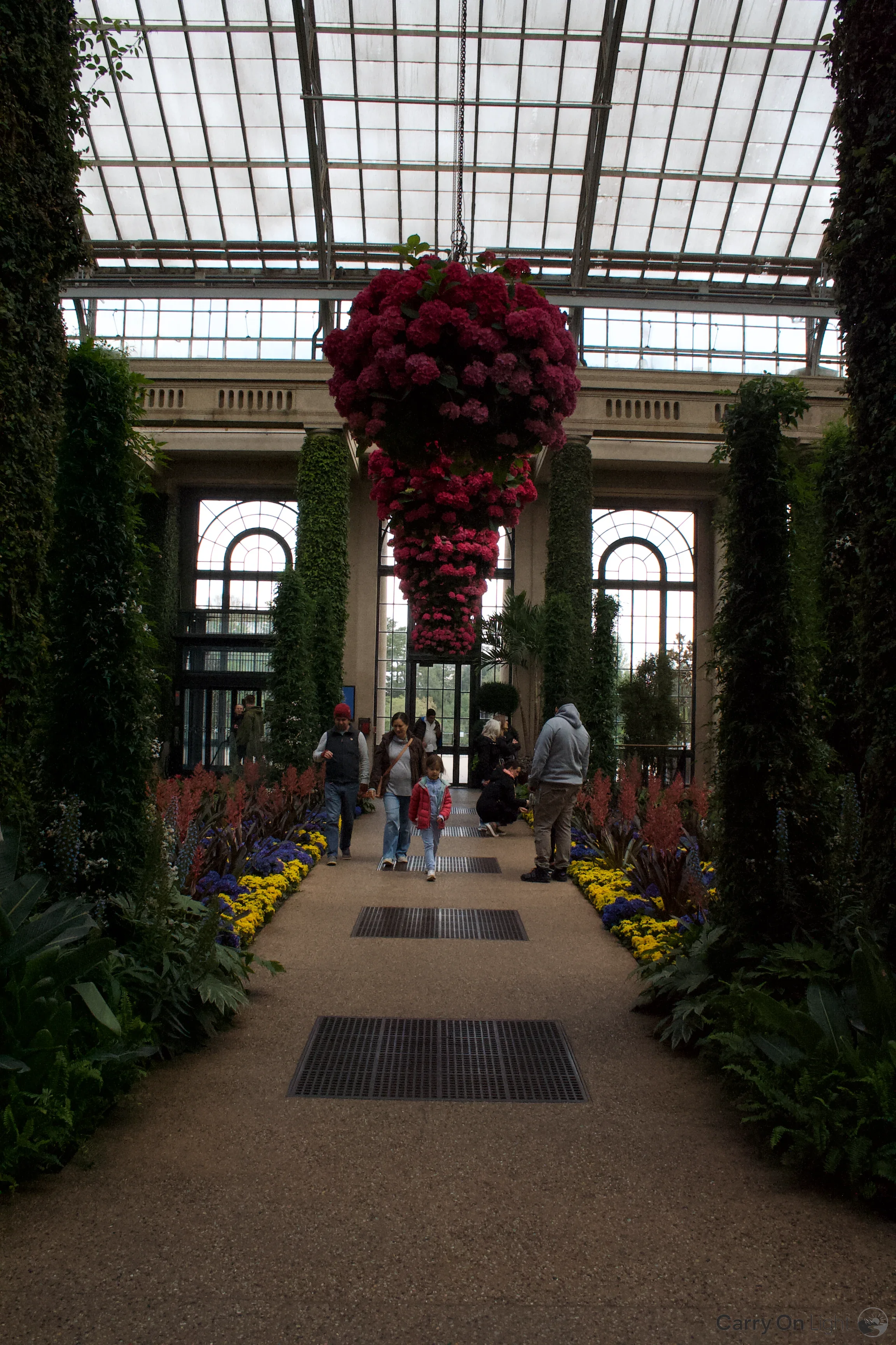 IMG_3006.webp