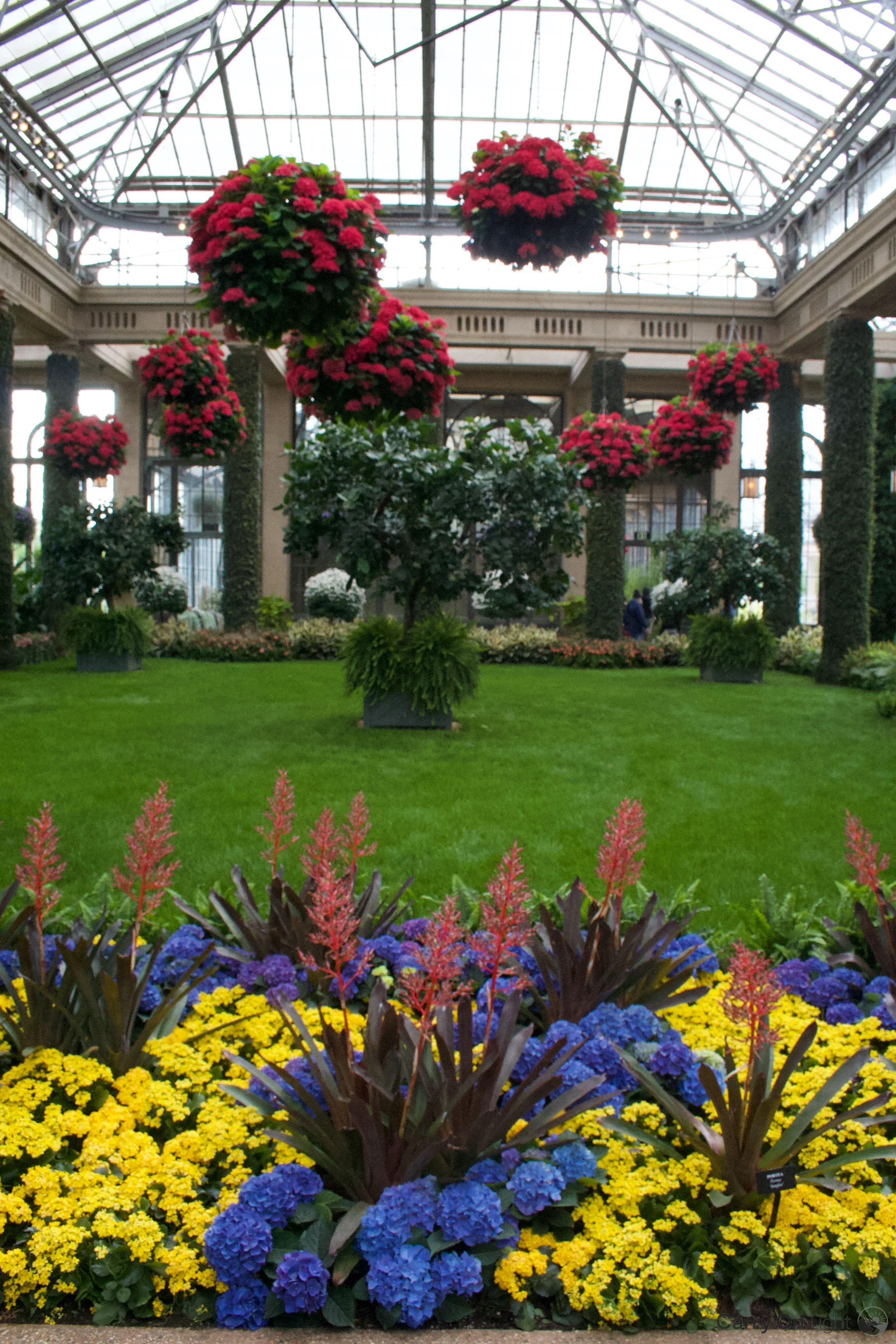 IMG_3012.webp