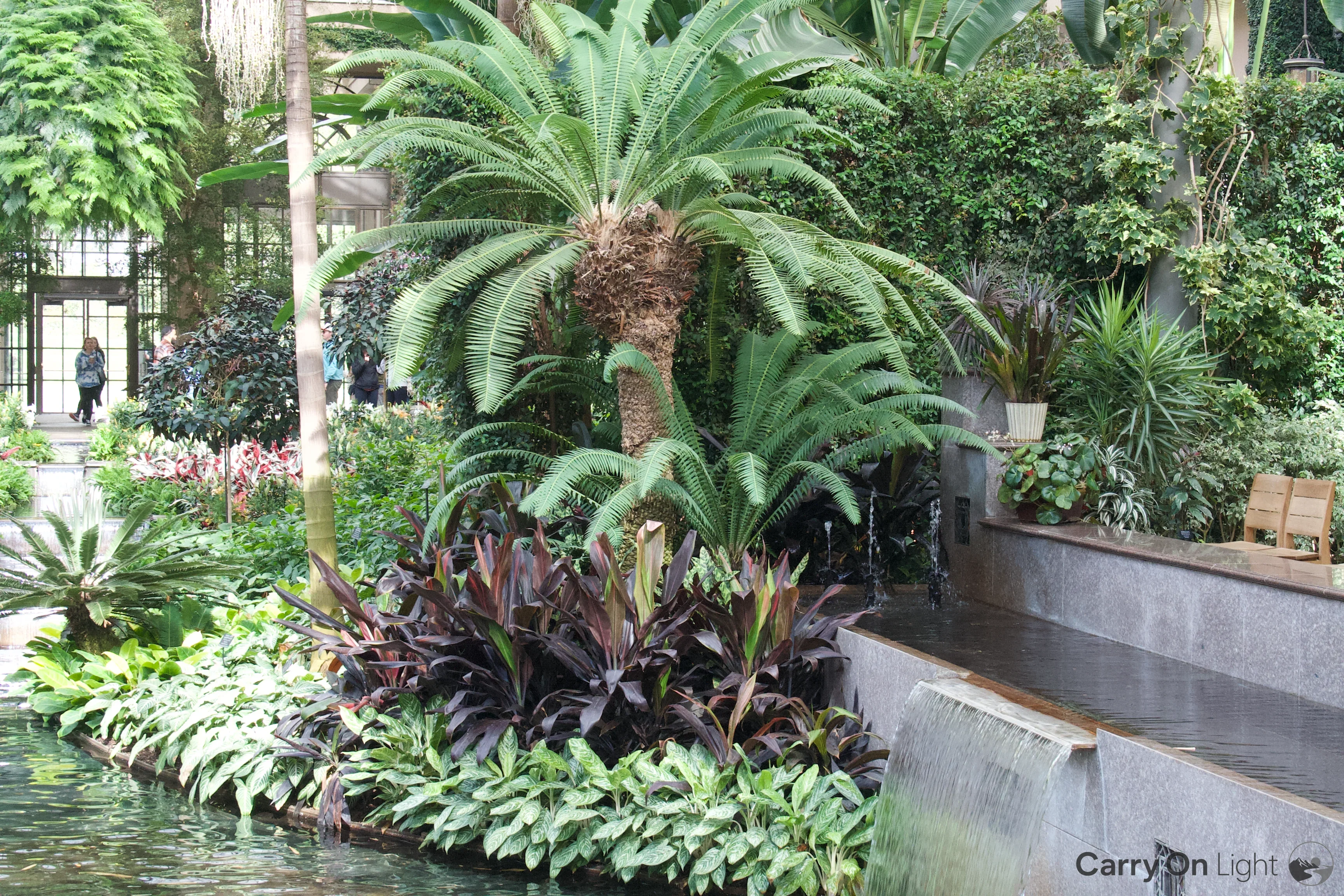 IMG_3022.webp