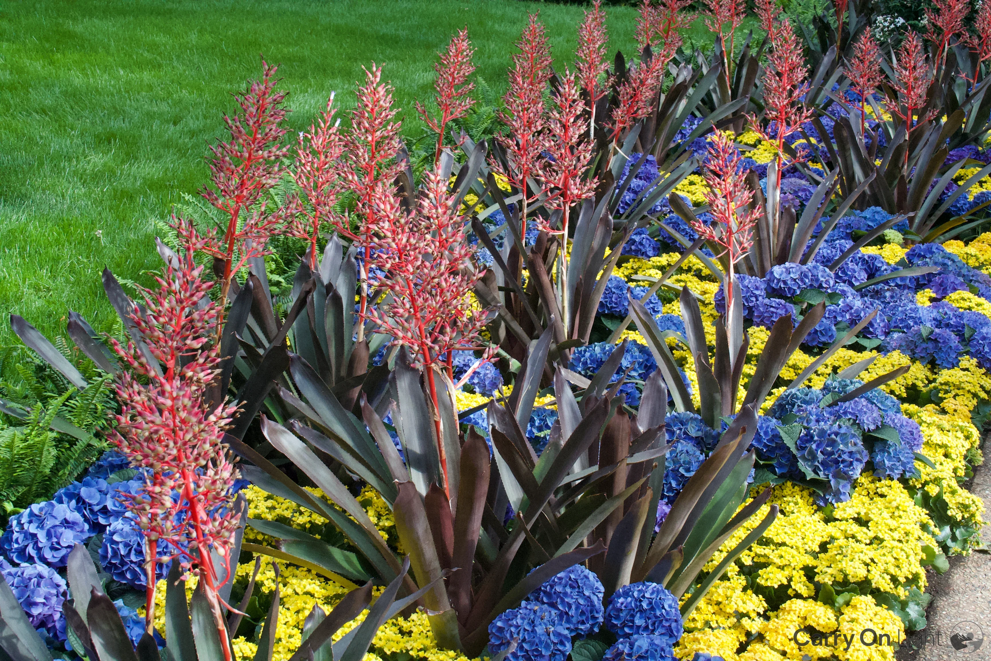 IMG_3029.webp