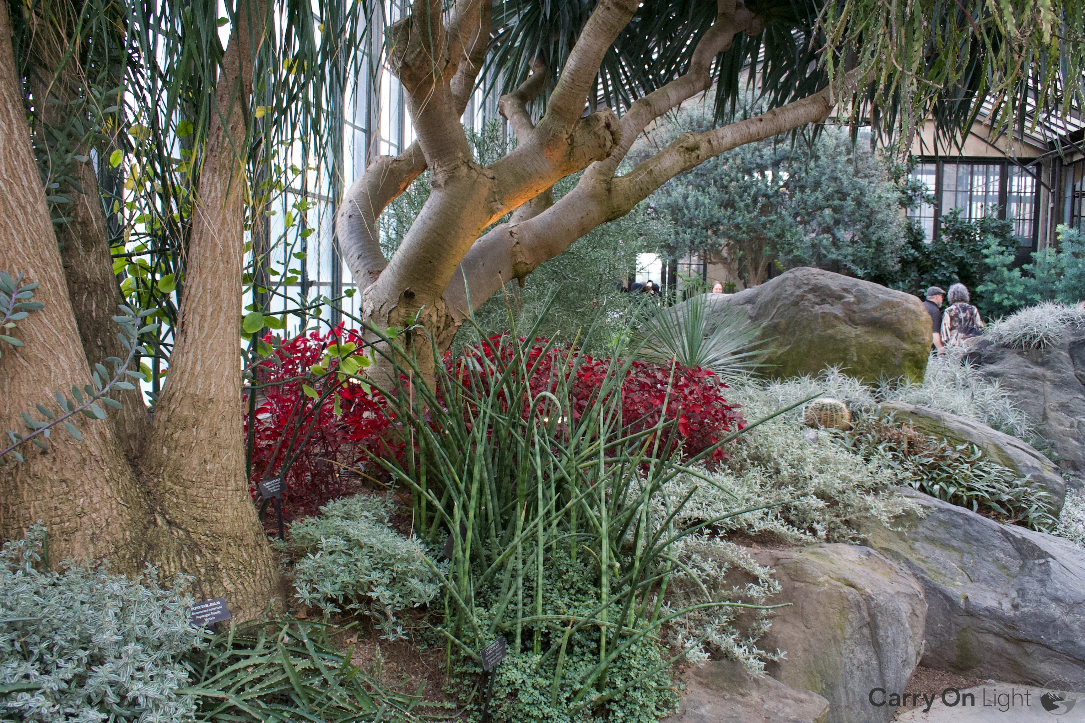IMG_3035.webp