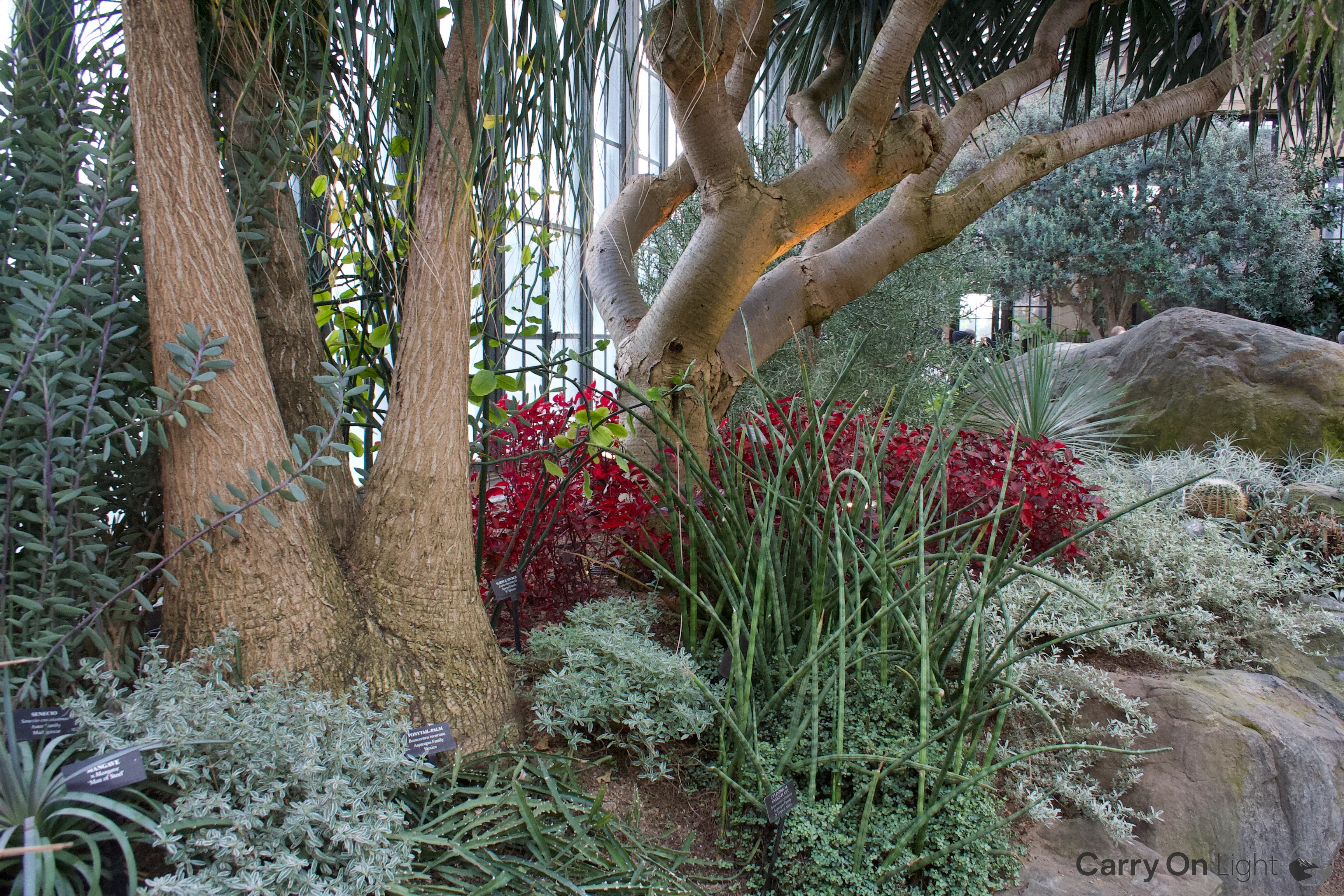 IMG_3036.webp