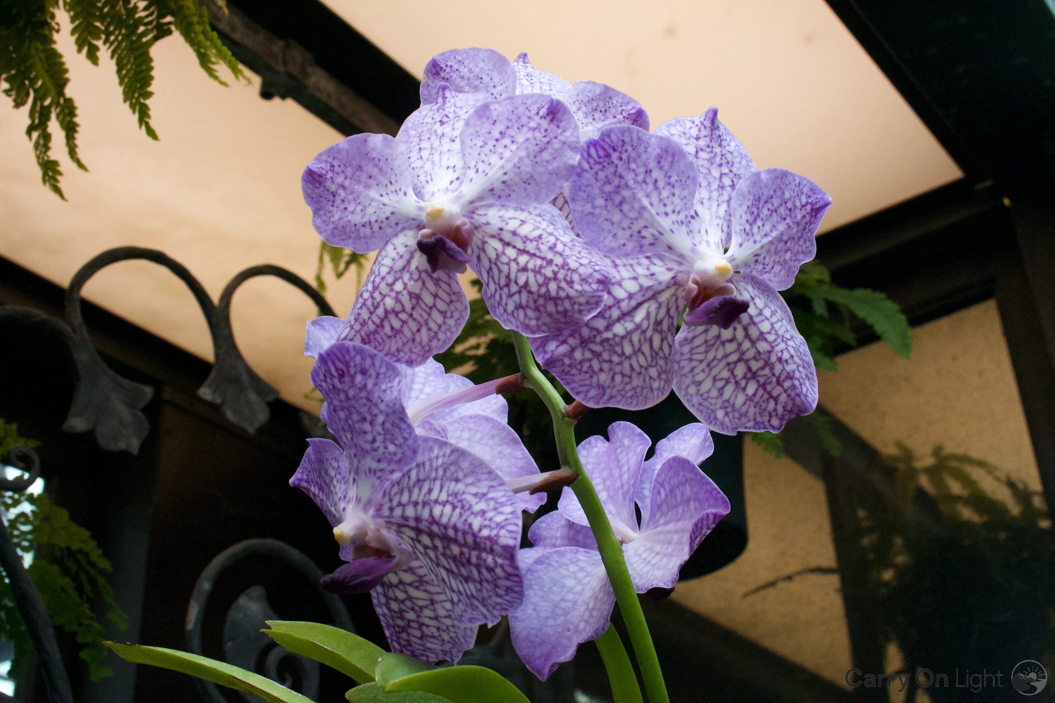 IMG_3042.webp