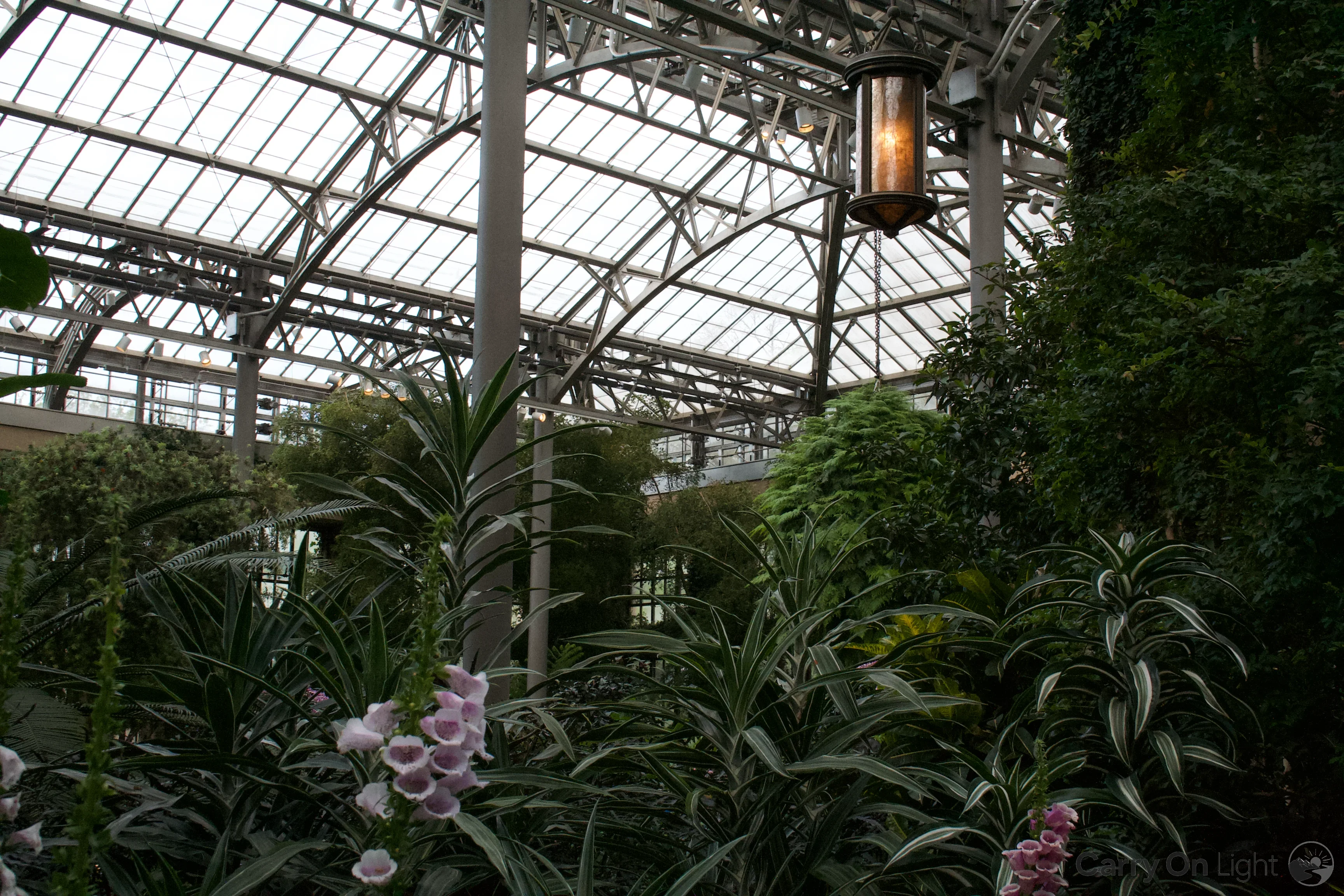 IMG_3076.webp
