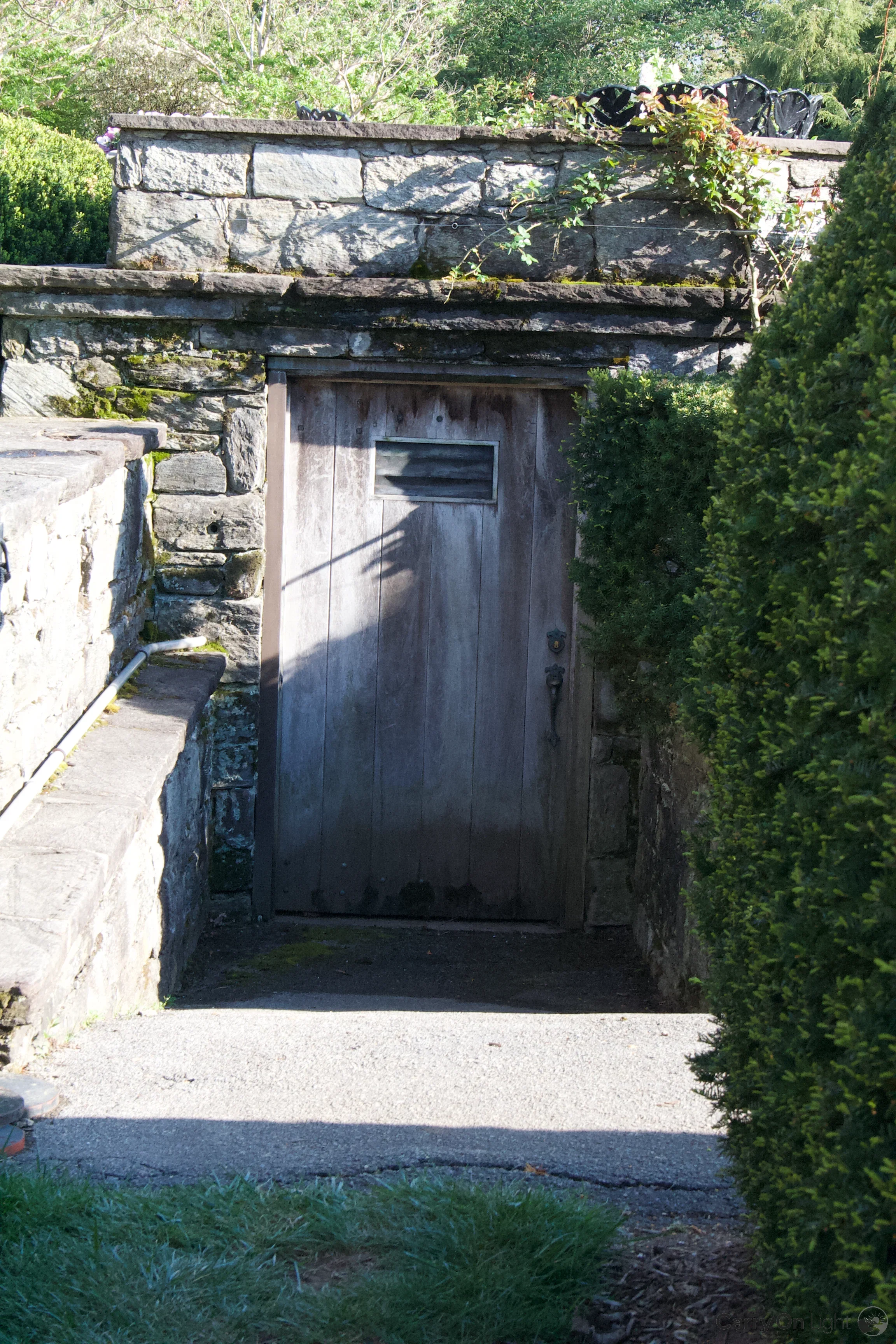 IMG_3087.webp