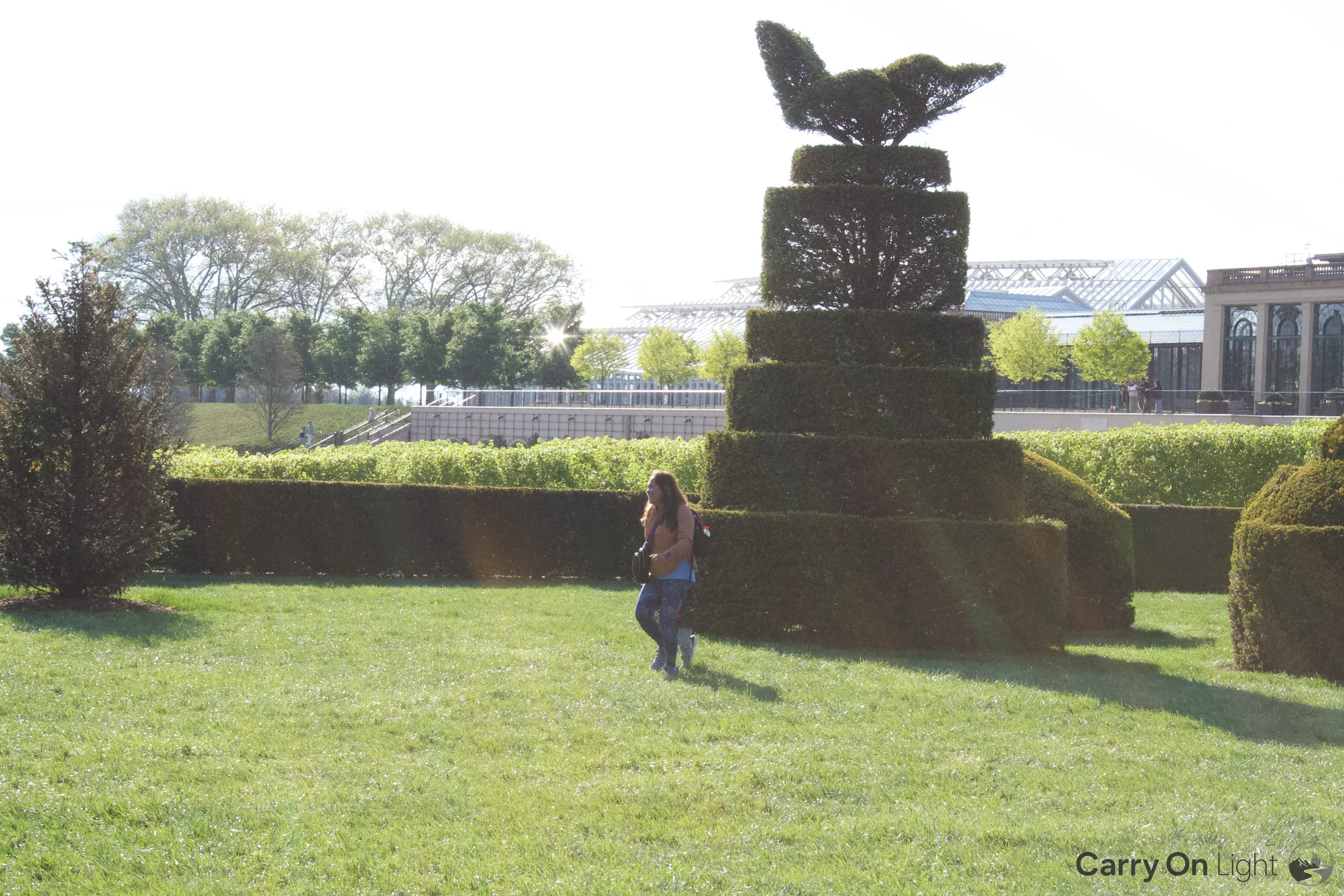 IMG_3091.webp