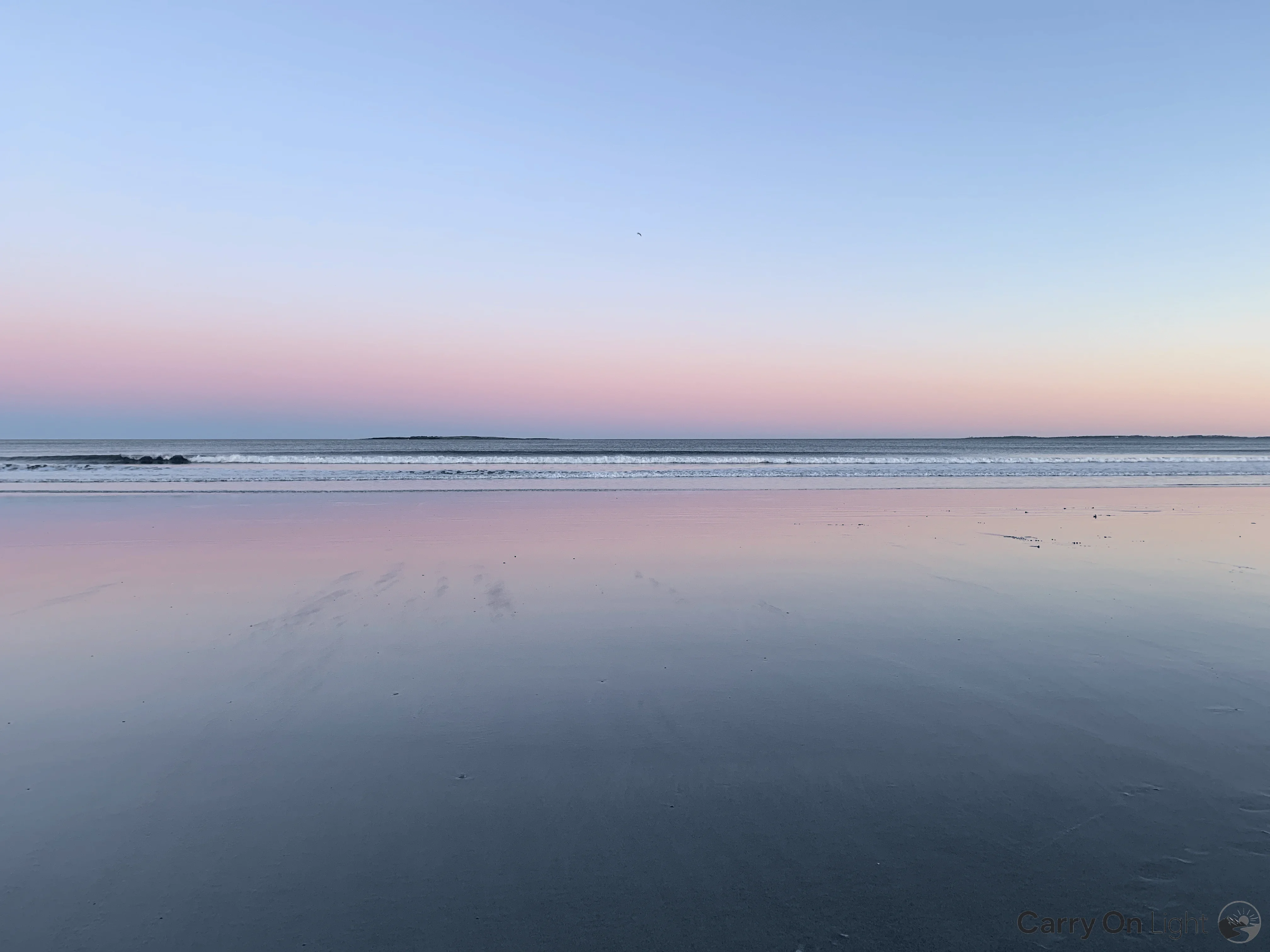 IMG_4924.webp
